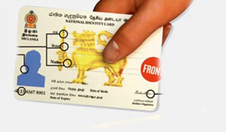 How should we think about the e-NIC program? Prof Mehta offers insights from India’s experience