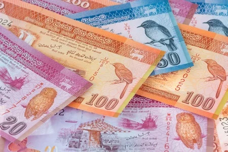 Is a Currency Board solution to depreciating rupee?