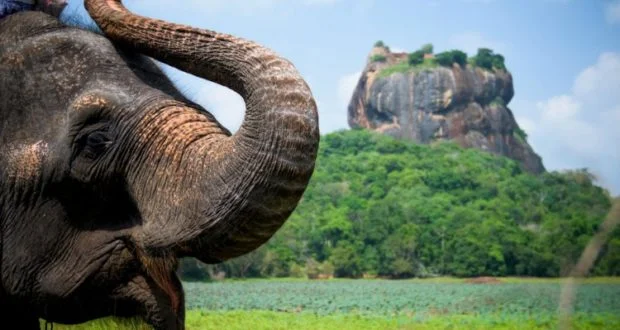 Excessive regulations in tourism – ‘So Sri Lankan’