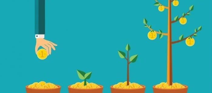 Is Sri Lanka keeping its small businesses small?