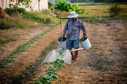 Are Sri Lanka’s agricultural policies starving our farmers?