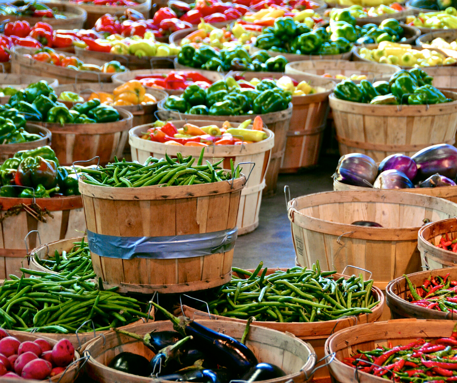 Resilient food supply: By command or through markets?