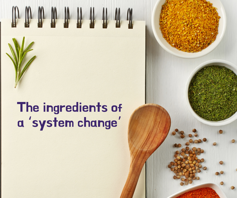 The ingredients of a ‘system change’