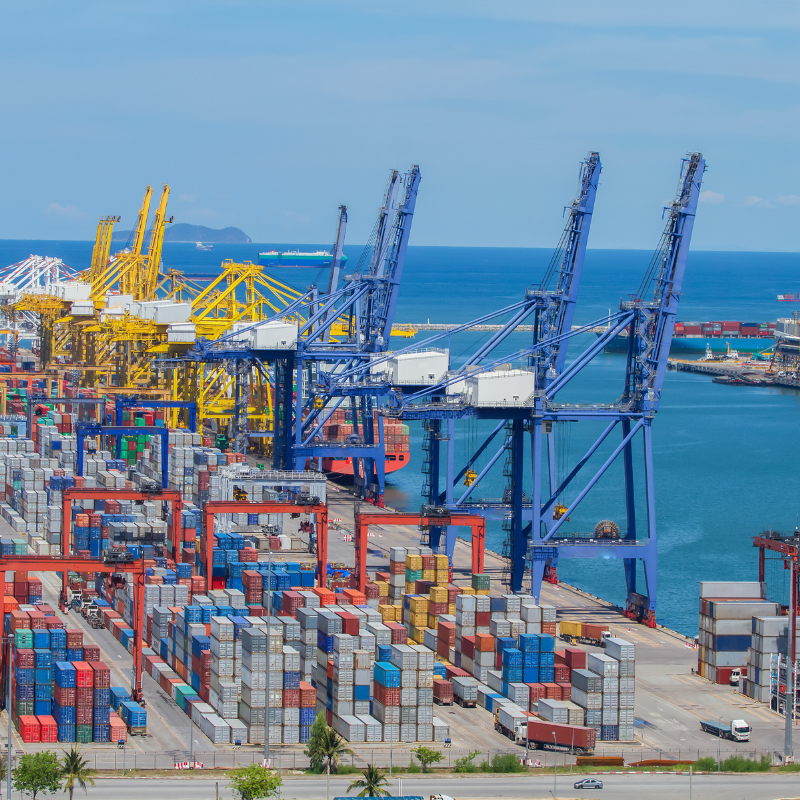 Interdependency, the framework for India-Sri Lanka relations