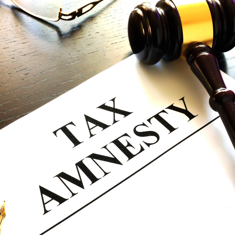 Prof Colombage: Tax Amnesty Bill: A quick fix for budget gap?