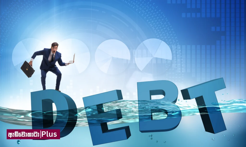 ඇත්තටම අපිට අපේ විදේශ ණය ගෙවා ගන්න පුළුවන් ද ?