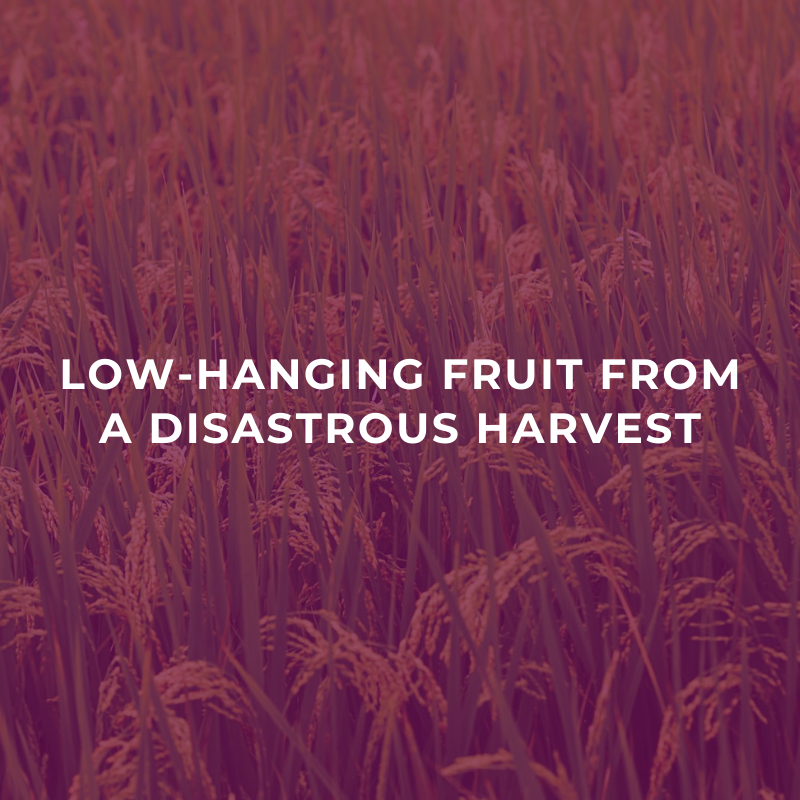 Low-hanging fruit from a disastrous harvest