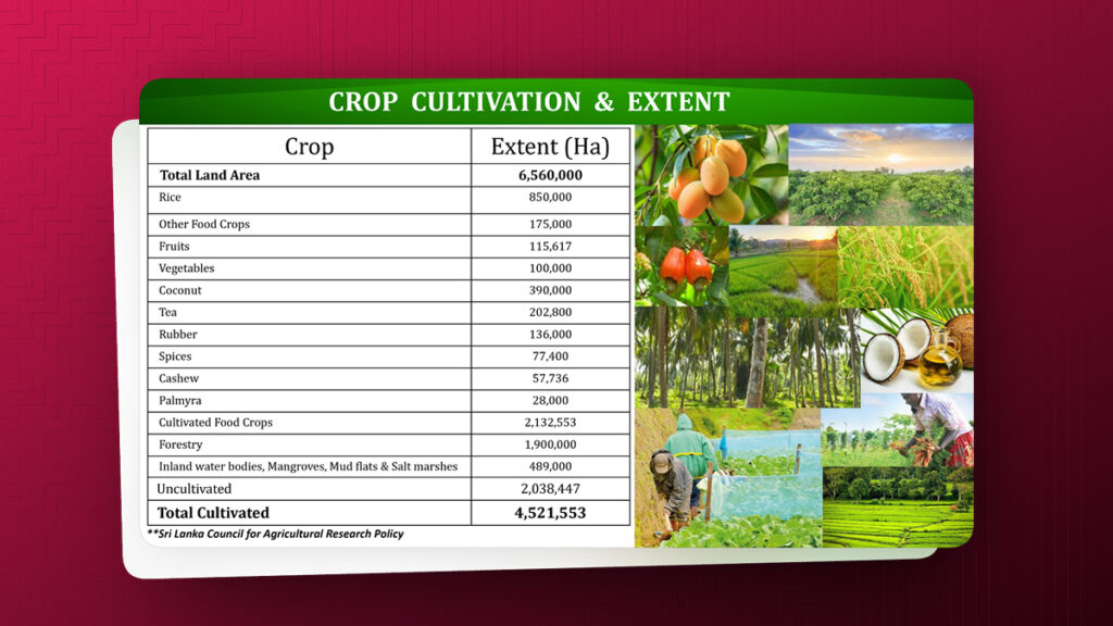 Energising Agriculture: Unlocking the Potential of Agricultural Land