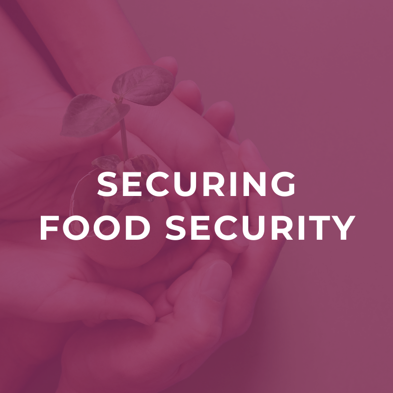 Securing Food Security