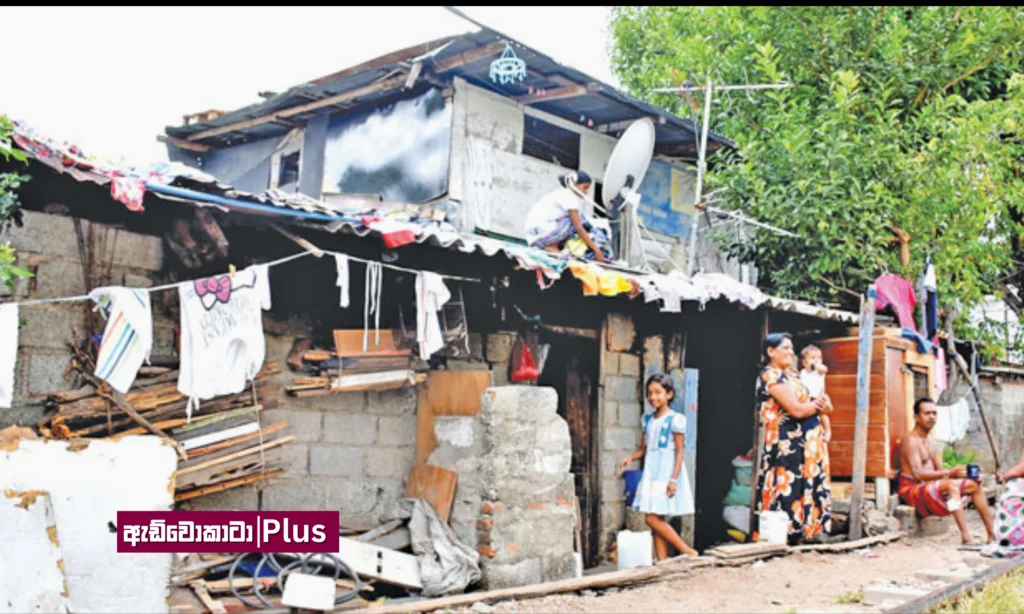 ලංකාවේ අපිට හිසට සෙවණක් ලැබෙයිද?