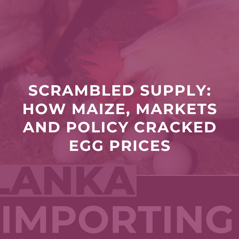 Scrambled supply: How maize, markets and policy cracked egg prices