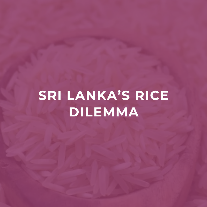 Sri Lanka’s rice dilemma