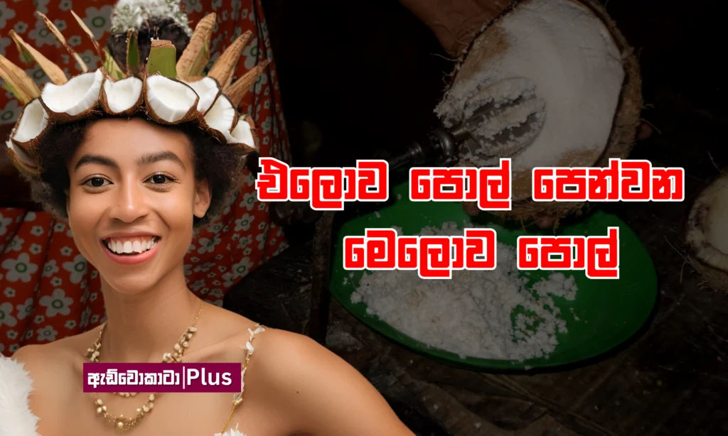 එලොව පොල් පෙන්වන මෙලොව පොල්