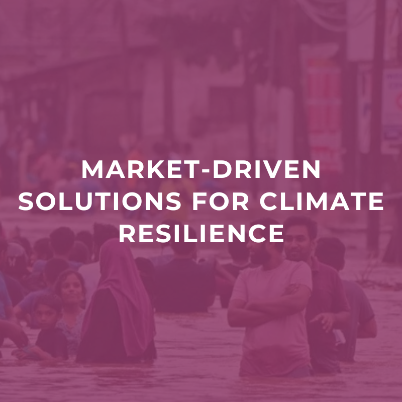 Market-driven solutions for climate resilience