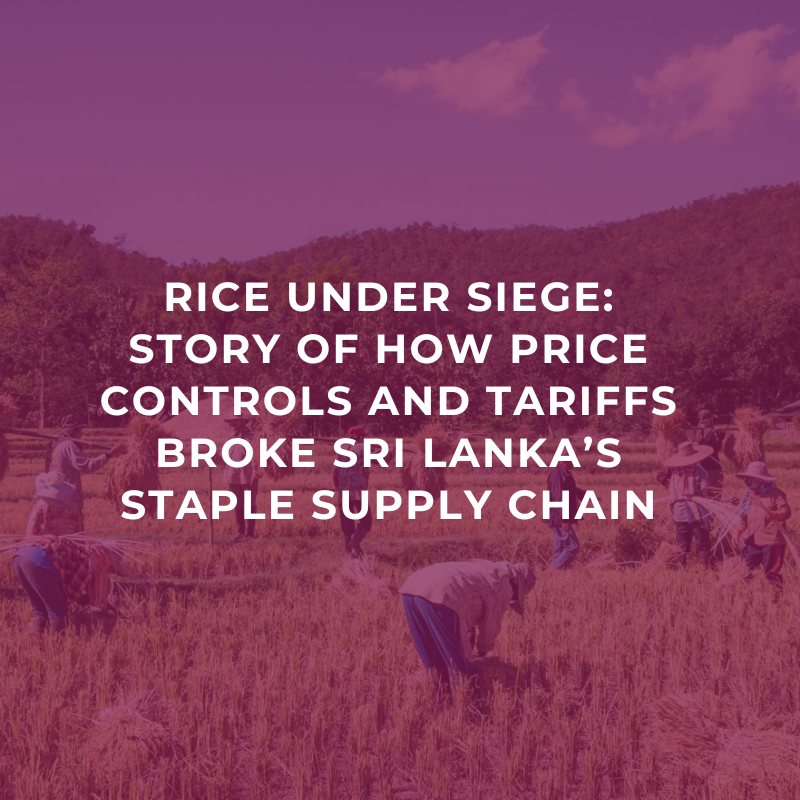 Rice Under Siege: Story Of How Price Controls And Tariffs Broke Sri Lanka’s Staple Supply Chain
