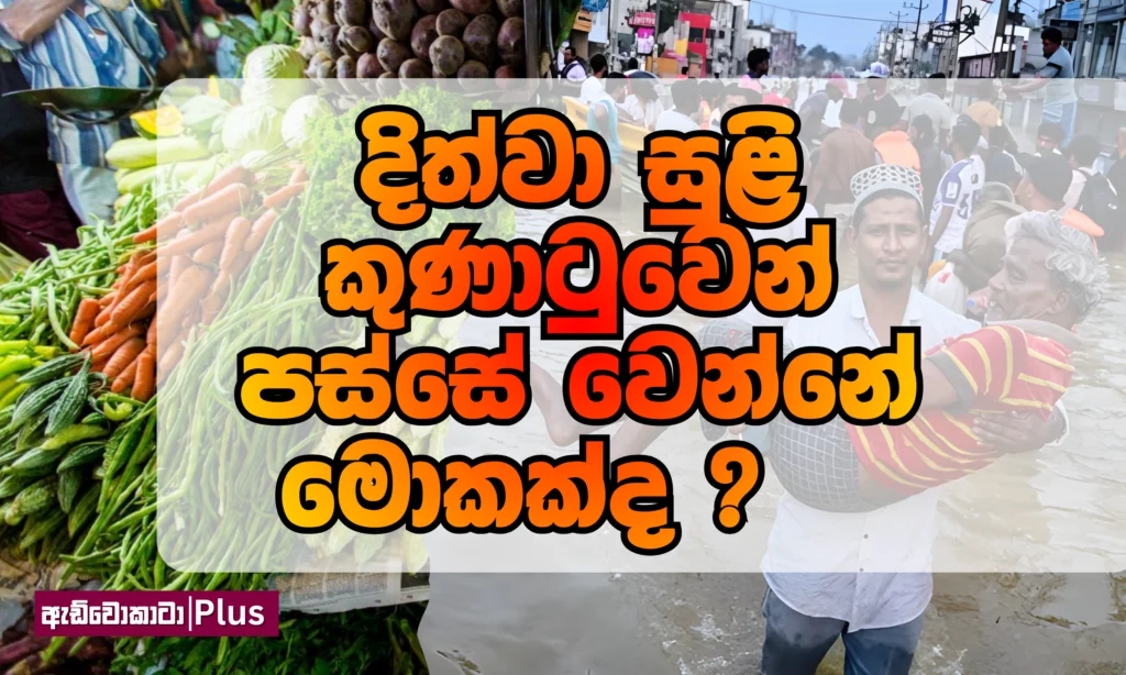 දිත්වා සුළි කුණාටුවෙන් පස්සේ වෙන්නේ මොකක්ද?